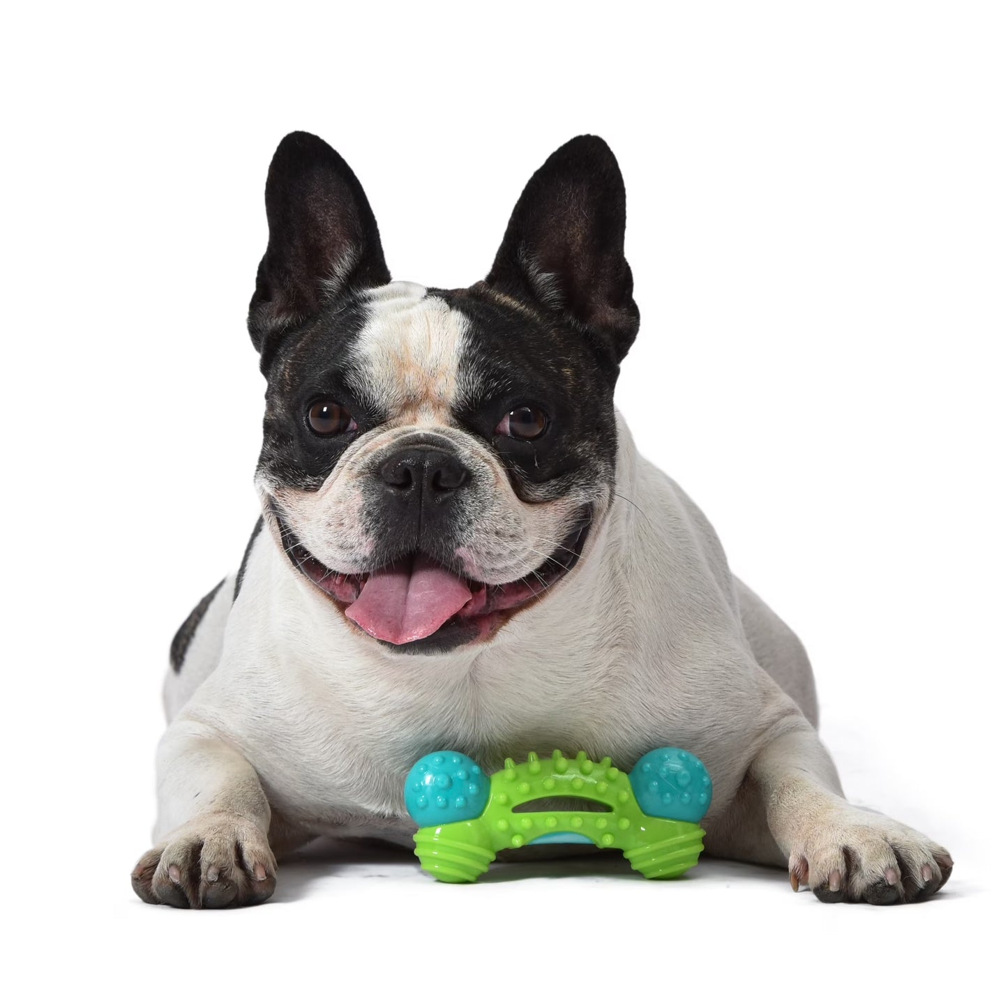 Nubbies Duality Bone Durable Dental Dog Chew Toy