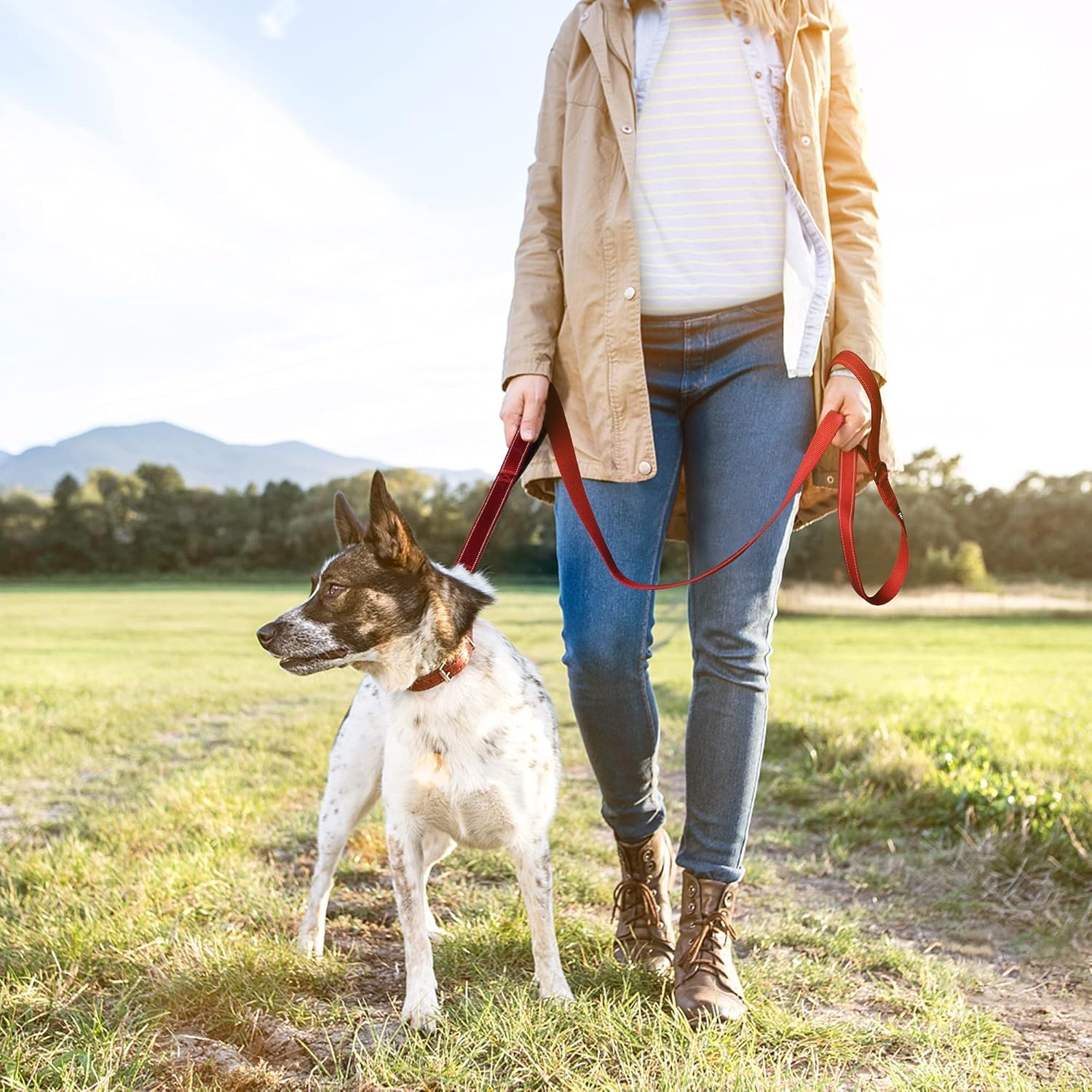 4FT 1IN Strong Red Dog Leash with 2 Padded Handles, Traffic Handle Extra Control, Comfortable Soft Dual Handle, Auto Lock Hook, Reflective Walking Lead for Small Medium and Large Dogs