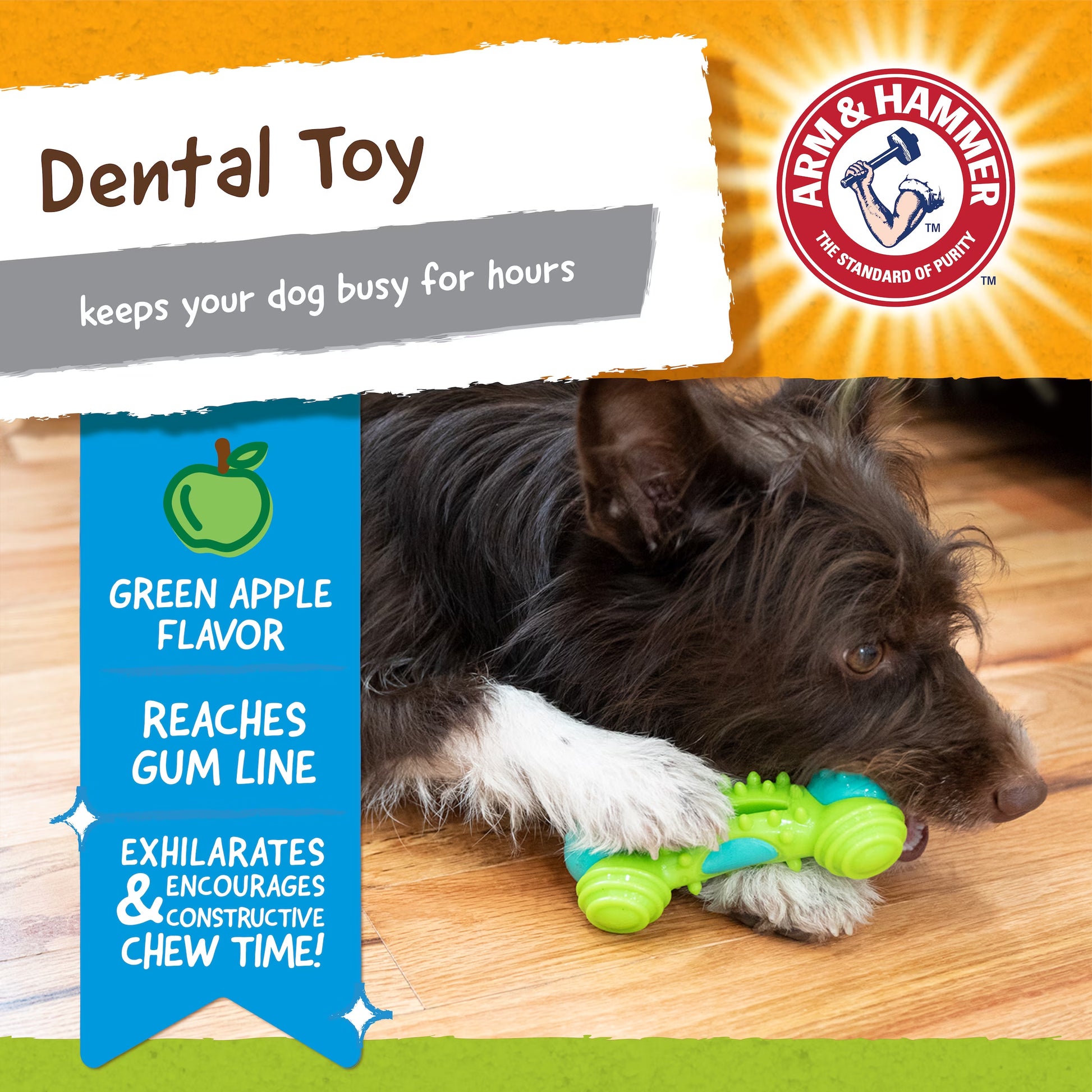 Nubbies Duality Bone Durable Dental Dog Chew Toy